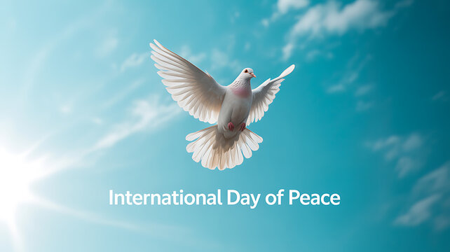 White dove flying against a clear blue sky with sunlight, symbolizing the International Day of Peace