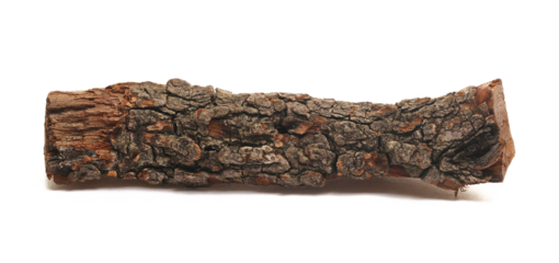 Stump, log fire wood isolated on white background, clipping path, side view