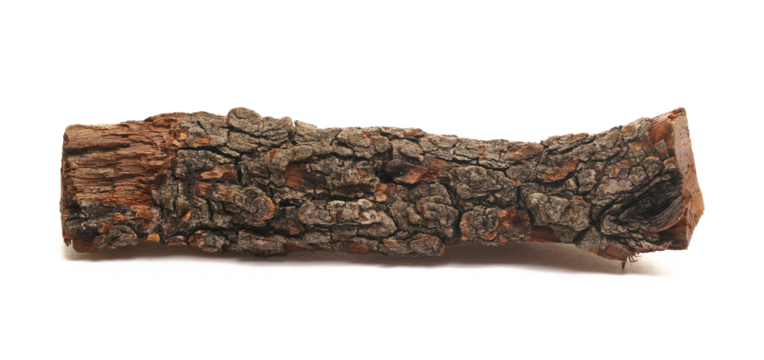 Stump, log fire wood isolated on white background, clipping path, side view