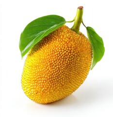 Yellow Jackfruit Fruit With Green Leaves On White Background