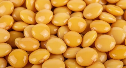 Fototapeta premium Golden Yellow Lupins Close-Up