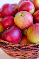 Basket Full of Fresh Red Apples Harvested from Orchard in Autumn Season