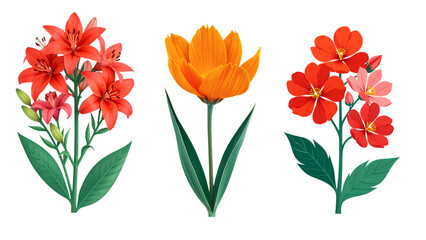 Vibrant Botanical Illustrations: A Trio of Diverse Flowers Including Red Lilies and an Orange Tulip