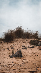 Fresh air walk on a moody Cambois Beach Northumberland, September 2025.