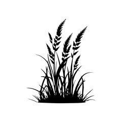 Monochrome image of plant. Isolated vector image. Floral design element