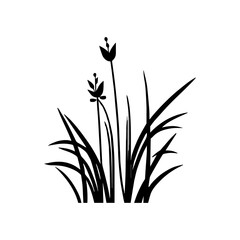 Monochrome image of plant. Isolated vector image. Floral design element