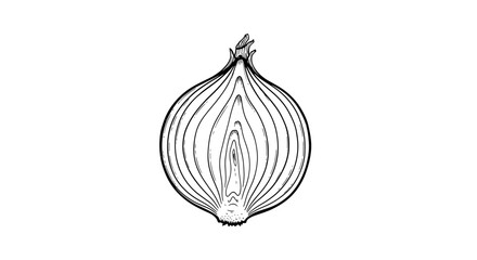 Half Onion Sketch Against White Background, Culinary Ingredient Illustration