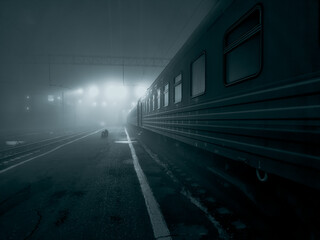Night, fog, railway station, passenger train is at the station, platform and carriages are illuminated by floodlights, black and white photo