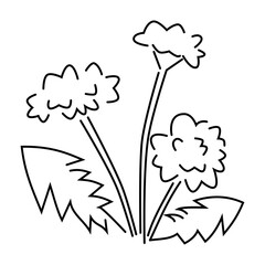 線画のタンポポ