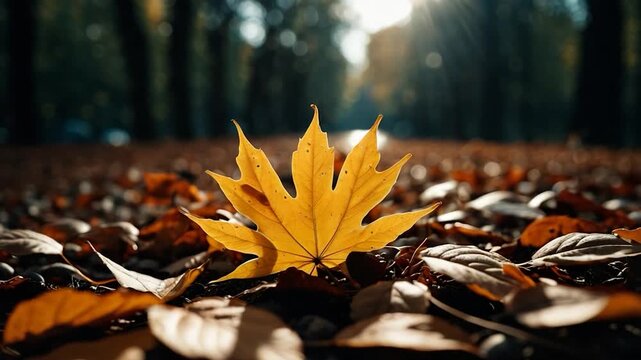 A single yellow leaf lying on top of a pile of fall leaves, perfect for seasons or nature-themed designs