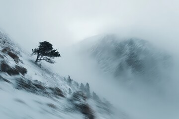 Lone Tree Surviving a Winter Storm on a Snowy Mountain.