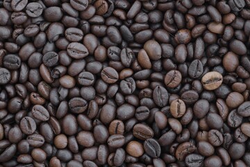 Roasted coffee beans background in warm dark scene