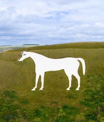 Aerial view of Westbury White Horse, Chalk Hill Figure, Wiltshire, England, UK