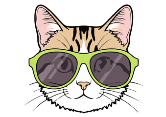 Cool Cat Wearing Green Sunglasses Vector Illustration Graphic Design.