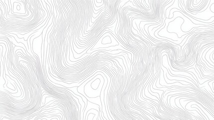 Minimal Topographic Line Map Pattern on White Background