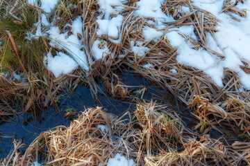 Melting Snow and Marsh Grass with Water Pool