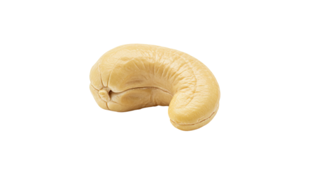 Single Cashew Nut Isolated on White Background Healthy Snack.