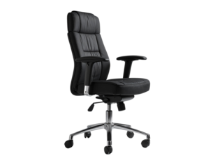 Executive Black Office Chair with Tilt Mechanism and Metal Base on Gray Setting