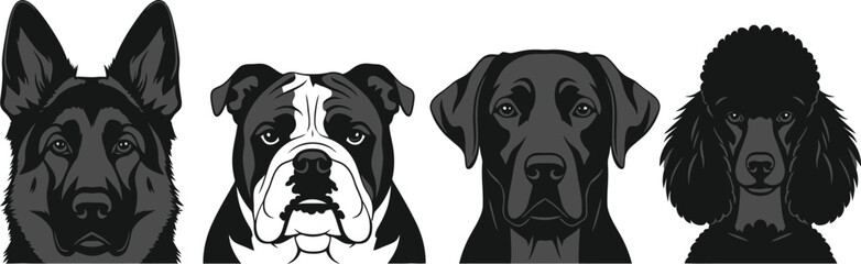 Obraz premium Diverse Dog Breed Headshots