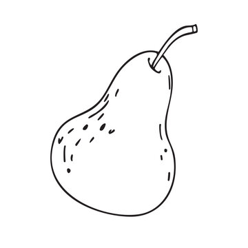 Doodle illustration. Pear with a twig, vector linear drawing. Line drawing of the fruit. Design element for product packaging, cosmetics, menus, holidays