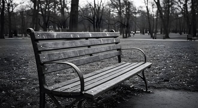 Empty park bench outdoor scene
