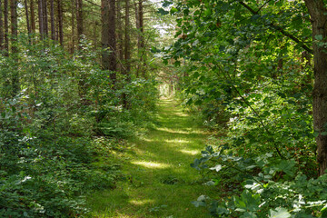 Die Insel Vlieland in den Niederlanden