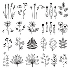 A black vintage vector set of hand drawn floral elements and leaves for a nature tattoo illustration
