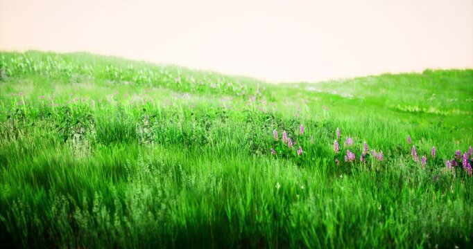 A beautiful landscape featuring a rolling meadow filled with lush green grass and vibrant wildflowers. The scenery captures the essence of spring, highlighting natures vivid colors.