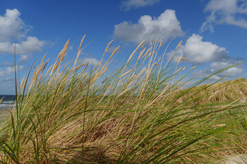 Fototapeta premium Die Nordseeinsel Vlieland