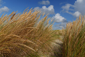 Die Nordseeinsel Vlieland