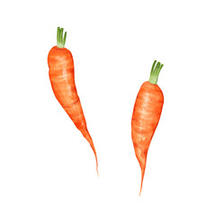Hand-drawn Illustration of Two Carrots