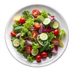Vector art of fresh garden salad with lettuce, tomatoes, cucumbers, and red onion