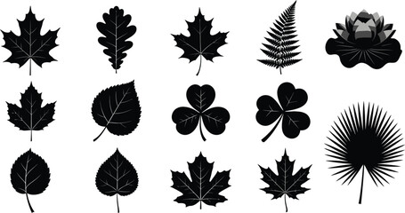 Black Leaf Silhouettes Collection