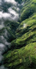 Breathtaking Aerial View of Green Terraced Mountains and Valley Through Clouds.