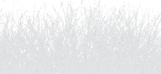Delicate gray branches form a textured backdrop against a pristine white background, creating a light, ethereal effect perfect for overlays or subtle design accents