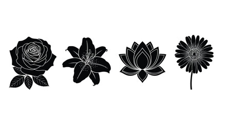 Set of four distinct floral silhouettes including rose lily lotus and dandelion in black vector