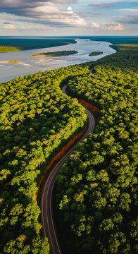vista a&eacute;rea de una carretera en la ma&ntilde;ana luz de sol, rutas misioneras, exuberante vegetaci&oacute;n, vista panor&aacute;mica de una carretera entre la selva