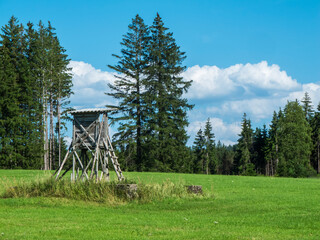 Hunters stand on a pasture with trees