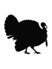 Black silhouette of a turkey bird on a white background