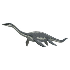 Obraz premium Plesiosaurus dinosaur swimming in water with a streamlined body, transparent background, isolated, vector 