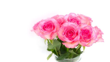 Obraz premium Beautiful Pink Roses in Clear Vase on White Background