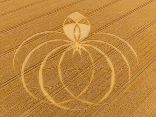 Aerial view of a mysterious, intricate, geometric crop art, crop circle formation in a wheat field near Cerne Abbas, Dorset, England, UK 