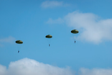 Military paratroopers in the sky after jumping out of a military plane
