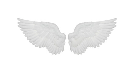 Fototapeta premium Angel wings isolated on transparent background, symbol of freedom and spirituality