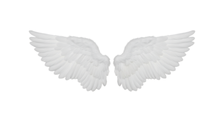 Angel wings isolated on transparent background, symbol of freedom and spirituality