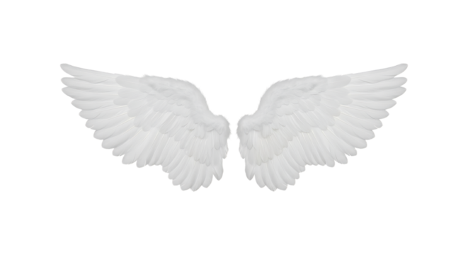 Angel wings isolated on transparent background, symbol of freedom and spirituality - Powered by Adobe