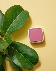Pink blush compact beside lush green leaves on pale yellow backdrop