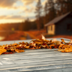 Autumn leaves on wooden rustic table with fall landscape and autumn sunshine background.