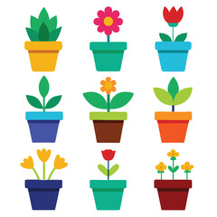 flower in pots