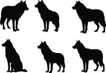 Collection of wolf silhouettes in various poses, wild animal vector illustrations for nature, wildlife, predator, forest, design, graphic and artwork projects.